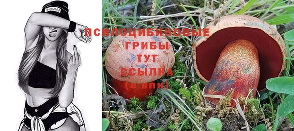 a pvp Алзамай