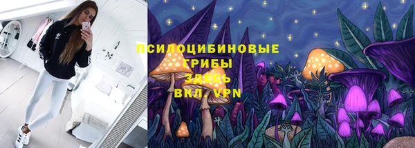 твердый Армянск