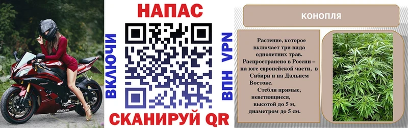 Каннабис гибрид  Купить закладки  Белокуриха 